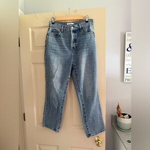 PacSun High Rise Straight Leg Jean
